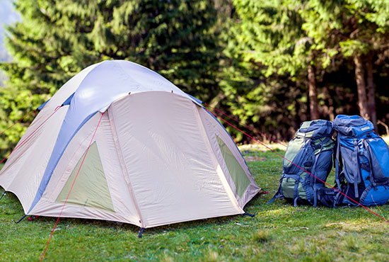 شركة كايما للمنتجات الخارجية المحدودة بنينغبو